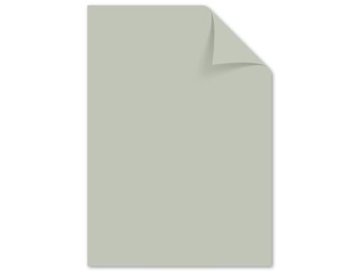 Kangaro KTC Papier Kangaro A4 120 grams pastel assorti pak a 100 vel