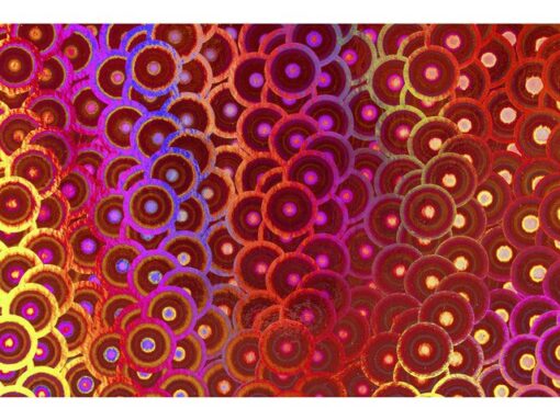 Kangaro KTC Holografisch karton Kangaro pak 10 vel A4 ass(1) 300 grams mix 1