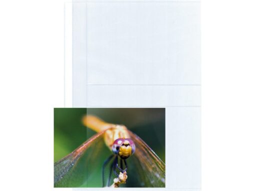Fotoshowtas Kangaro A4 13x18cm 23-gaats PP krimp á 10 stuks