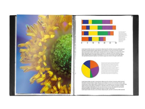 Kangaro KTC Showalbum Kangaro A5, PP 0.5mm, 20 tassen, zwart met        insteektas op voorkant