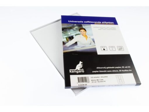 Kangaro KTC Etiket Kangaro ILK 63,5x38,1mm doos à 25 vel 21 etiketten per A4 vel