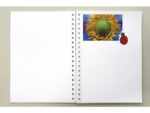 Plakboek Kangaro A3 120 grams 40 vel, voorkant blauw