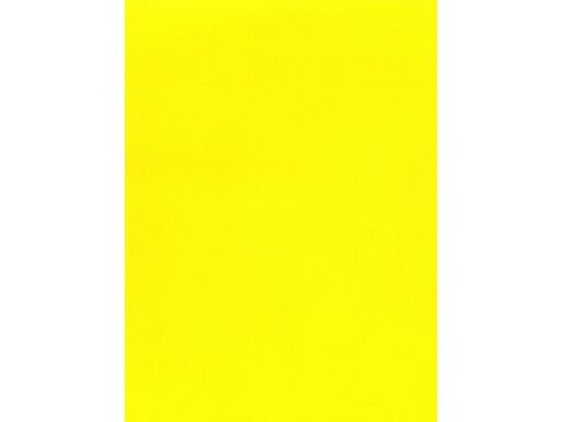 Kangaro KTC Cadeaupapier Kangaro kraft uni 6 kleuren assorti, 70 x 200  cm, 60 rol.