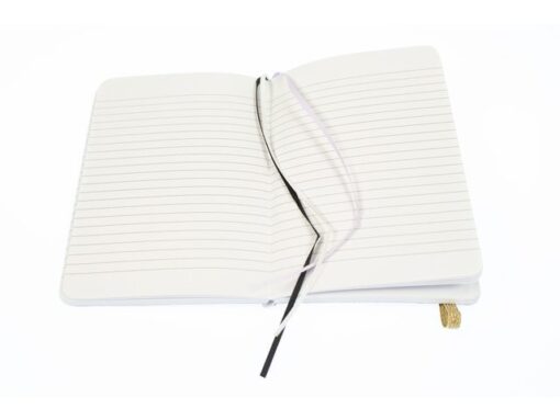 Kangaro KTC Notitieboek Pure Croco A6 PU HC lijn pak a 2 stuks assorti