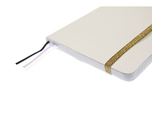 Kangaro KTC Notitieboek Pure Croco A6 PU HC lijn pak a 2 stuks assorti