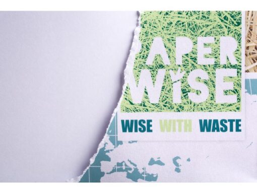 Kopieerpapier PaperWise A5 wit 80 grams pak a 500 vel