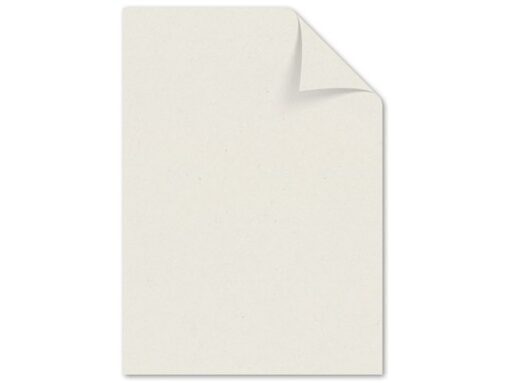PaperWise kopieerpapier A4 Natural 72 grams pak à 500 vel