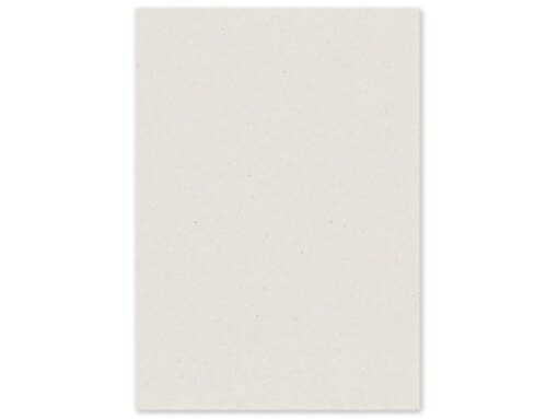 PaperWise kopieerpapier A4 Natural 72 grams pak à 500 vel