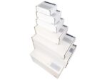 Postpakketdoos 2 Raadhuis 200x140x80mm bedrukt 5 stuks