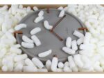Opvulchips Eco Flo Raadhuis biodegradable doos a 42 liter