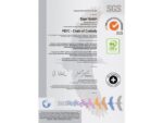 Sigel Notitieboek Conceptum A4 MINT GREEN lijn 194pag 80gr HC