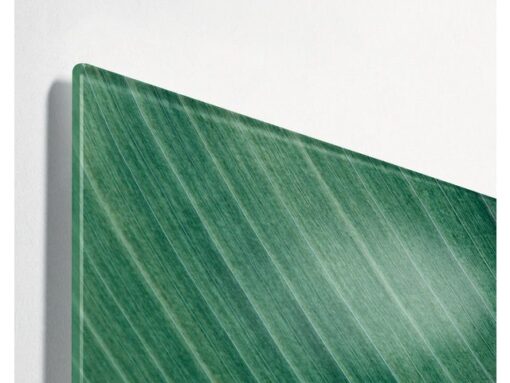 Glasmagneetboard Sigel mat PALM LEAFS 910x460x15mm 3 magn + bevestigingsmateriaal
