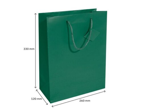 Cadeautas Sigel groot, opaal groen