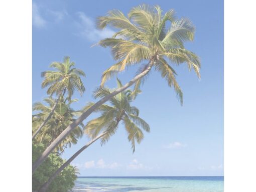 Bureauonderlegger SigelBeach, 59,5x41cm, 80 grams papier,   30 vel, 3-jaars kalender..23/24/25