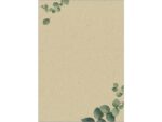 Papier met motief Sigel, Eucalyptus, tweezijdig motief,     gras papier, FSC Mix Credit (Ink/Laser/Copy), 100 g, A4,