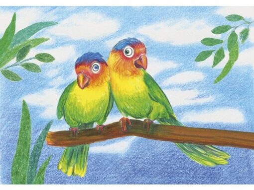 Faber Castell kleurset Faber-Castell Triangular