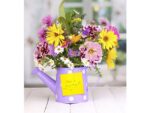 Info Notes 75x75mm assorti spring pak a 6 blok