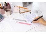 Gelpen Eberhard Faber Animal Erase-It  Panda schrijfkleur:  blauw  Tekst: Pandastic