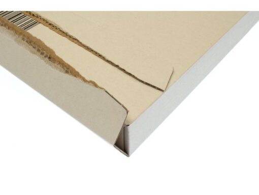 Brievenbusdoos Raadhuis wit EG 255x160x28mm krimp a 25 stuks