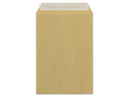 Envelop Raadhuis 162x229mm C5 akte plakstrip kraft 90gr 500 stuks in doos