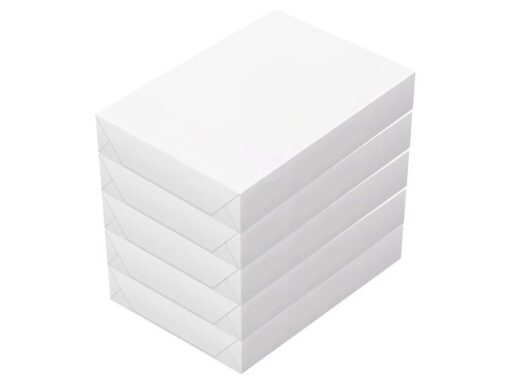 Kopieerpapier Canon White label Copy A4 80gr pak 500vel     doos a 5 pak
