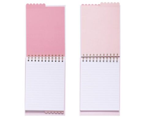 Notitieblok Èccolo DL spiraal Dont Forget lijn ca.15x22cm   80gr. 50pag. met tabs