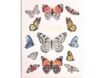 Notitieboek Èccolo Butterflies lijn ca.20x25cm 80gr. 256pag.