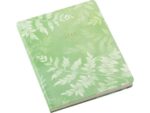 Notitieboek Èccolo HL Fern lijn ca.20x25cm 80gr. 256pag.