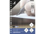 Ringbandinterieur Kangaro A5 ruit 10mm 17-gaats 60 grams    100 blad