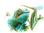 Tekenstift Faber-Castell Pitt Artist duo marker Animals     etui 5stuks  kleur nrs: 109,112,148,154,170