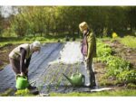 Worteldoek TerCasa zwart 20m2 100g/m2 gevouwen