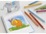 Kleurpotloden Jumbo traingular Faber-Castell in heldere kleuren. 24 stuks in een etui. De dikte is 5,4 mm.