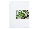 Fotoshowtas Multo A4 23r PP 10x15cm 3 vaks krimp a 10 stuks