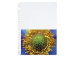 Fotoshowtas Multo A4 23r PP 148x210mm 2 vaks krimp a 10     stuks