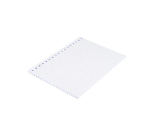 Ringbandinterieur Multo A5 17r ruit 5mm 80 grams 50 vel