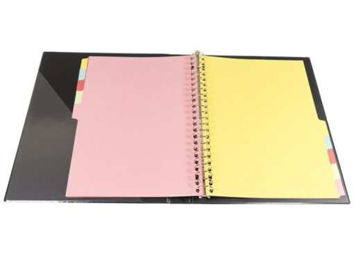 Tabblad Multo A4 23r blanco gerecycled karton 160 grams 10  delig assorti kleuren