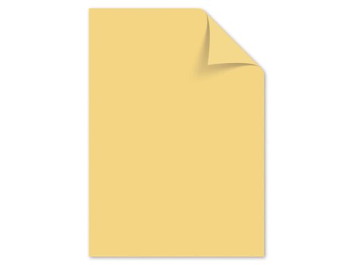 Papier Kangaro A4 120grs donkerchamois pak 100 vel