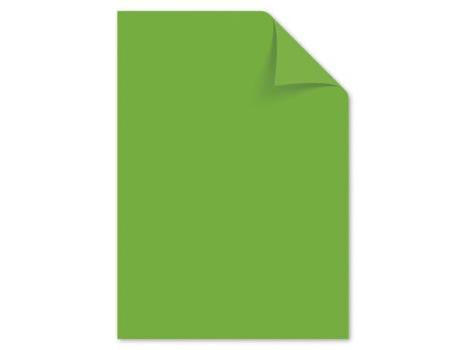 Papier Kangaro A4 120grs helgroen pak 100 vel