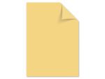 Papier Kangaro A4 160grs donkerchamois pak 50 vel