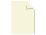 Papier Kangaro A4 160grs ivoorwit pak 50 vel