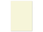 Papier Kangaro A4 160grs ivoorwit pak 50 vel