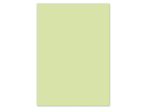 Papier Kangaro A4 160grs lichtgroen pak 50 vel