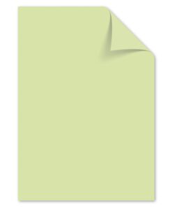 Papier Kangaro A4 160grs lichtgroen pak 50 vel