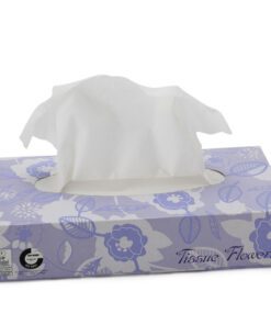 Facial tissues Celtex 2-laags 100 vel doos a 40 dispenser