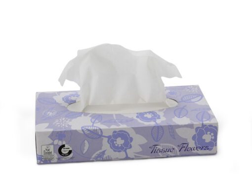 Facial tissues Celtex 2-laags 100 vel doos a 40 dispenser