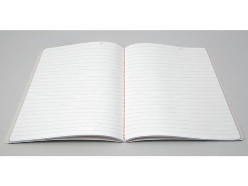Notitieschrift Linescape Neo A5 2st. blauw/papaya lijn 68   pag 80gr.