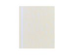 Ordner ECOLOGIQUE A4 2R 8cm krimp a 2 stuks 2 motieven