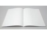 Notitieschrift Linescape Neo A5 2st. l.grijs/lime lijn 68   pag 80gr.