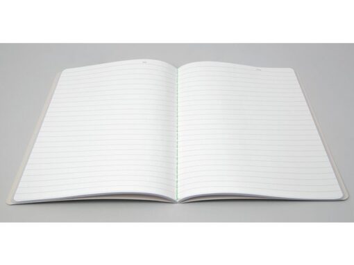 Notitieschrift Linescape Neo A5 2st. l.grijs/lime lijn 68   pag 80gr.