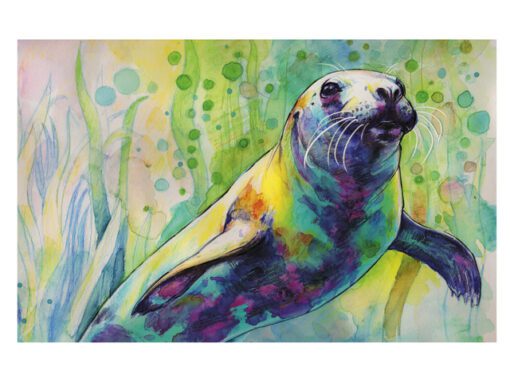 Aquarelpotlood Faber-Castell Albrecht Durer & Pitt Artist   Pen 37-delig